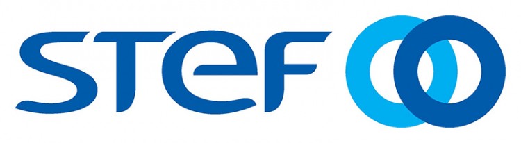 logo-stef.jpg